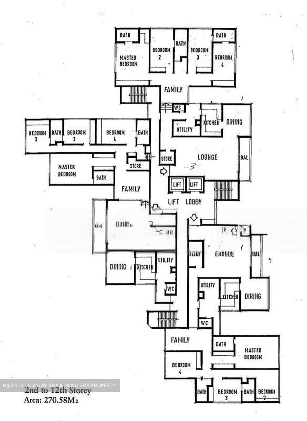 The Cairnhill (D9), Condominium #507578191